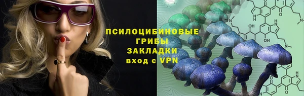 прущие грибы Верхний Тагил