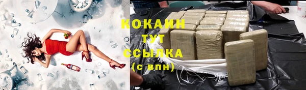 сатива Богданович