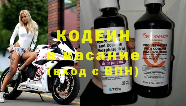 прущие грибы Верхний Тагил